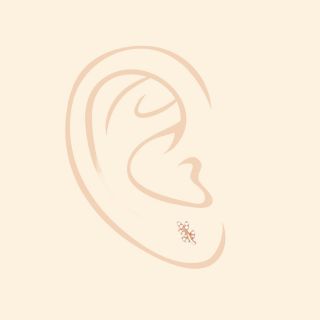 925 Sterling Silver stud earrings rose gold plated with leaves and  white cubic zirconia - 