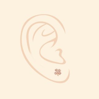 925 Sterling Silver stud earrings rose gold plated with four leaf clovers and white cubic zirconia - 