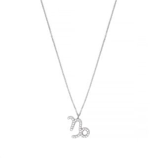 Necklace made of stainless steel with white cubic zirconia and Capricorn star sign