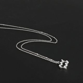 Necklace made of stainless steel with white cubic zirconia and Aquarius star sign - 