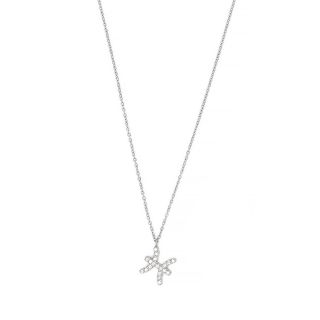 Necklace made of stainless steel with white cubic zirconia and Pisces star sign