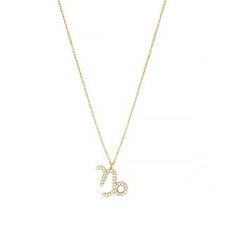 Necklace made of stainless steel gold plated with white cubic zirconia and Capricorn star sign