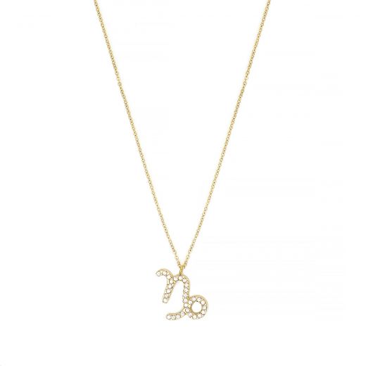 Necklace made of stainless steel gold plated with white cubic zirconia and Capricorn star sign