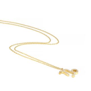 Necklace made of stainless steel gold plated with white cubic zirconia and Capricorn star sign - 