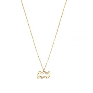 Necklace made of stainless steel gold plated with white cubic zirconia and Aquarius star sign