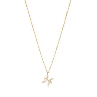 Necklace made of stainless steel gold plated with white cubic zirconia and Pisces star sign