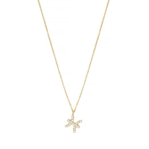 Necklace made of stainless steel gold plated with white cubic zirconia and Pisces star sign