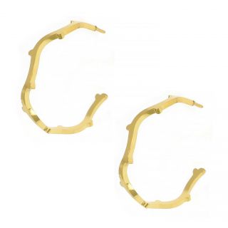 Earrings made of gold plated stainless steel in cycle form which has branch shape. Earrings made of gold plated stainless steel in cycle form which has branch shape.